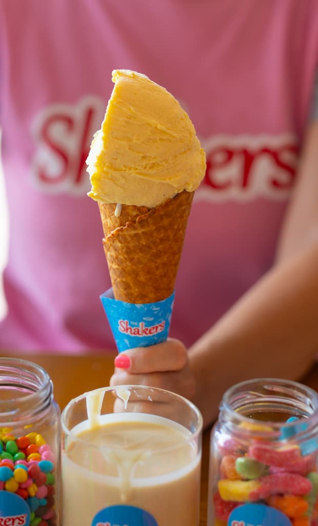 Momentos The Shakers